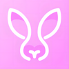 ���ñ�ֽv2.0 �ٷ���