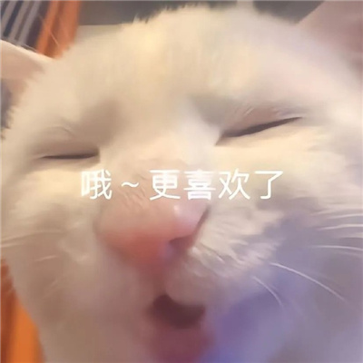 ���Ϻܻ�ĳ�è����ɳ���ֺ�Ц �������ϵ���Ϣ����ϼ�