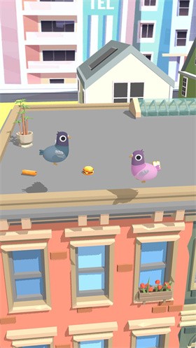 ��ʺ��Pigeon Poo��v0.8 ��׿��