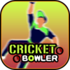 ����Ͷ����Cricket Bowlerv1.0 ��׿��