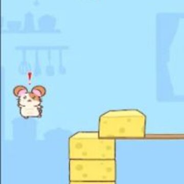 ���Ҳ���Cheese Hamster
