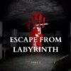 ���Թ�������Escape From Labyrinth��v1.0 ��׿��