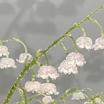 ���ưͿ�������˵˵ ���ưͿ���ί����˵˵