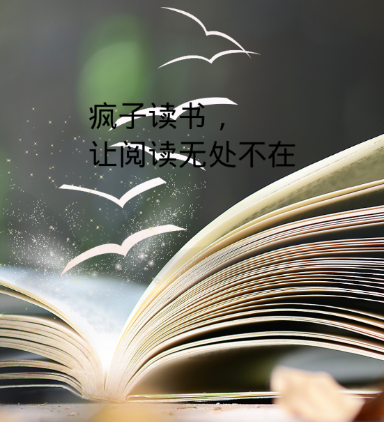 疯子读书 疯子读书