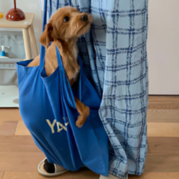 ����һ�Ŵ�����ĵ�˵˵ ��Զ�������Ĵ���ľ���