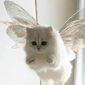 ������������̵����켼���İ��ϼ� ���̸�˵�������������¼