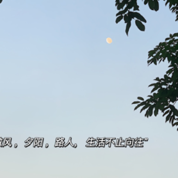 ���¼䳳�ܺ����ĵľ��� ������ì���˸о���
