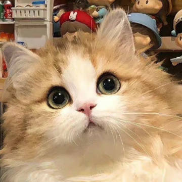 ƣ��״̬ʱ�õ�Ψ��ǩ���̾� ״̬�ܲ���ʱ�õ�ǩ��