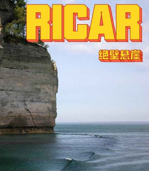Ricar��������