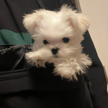 想发就发的日常简约杂系文案 今日份生活碎片短句 想发就发的日常简约杂系文案 今日份生活碎片短句