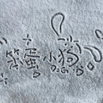 想发就发的日常简约杂系文案 今日份生活碎片短句 想发就发的日常简约杂系文案 今日份生活碎片短句
