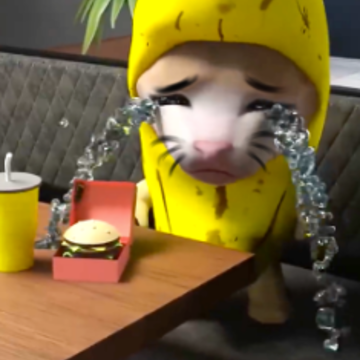 香蕉猫大作战 香蕉猫大作战