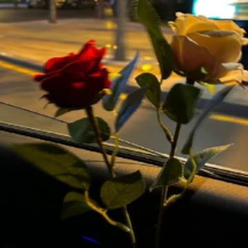 ż������һ���Լ�˵˵Ψ������ ���¹������������Ψ������