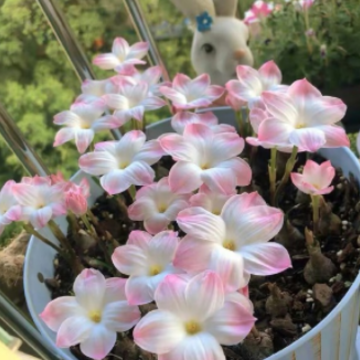 取悦自己生活快乐happy朋友圈文案 潇洒的且很开心的短句 取悦自己生活快乐happy朋友圈文案 潇洒的且很开心的短句