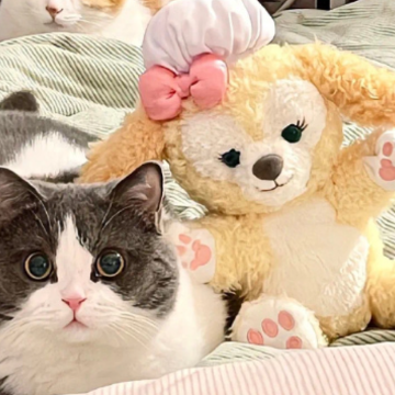 ��־С�ڵĸ������� ƽ�����ں�������