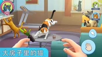 �ҵĳ���èģ����(My Pets Cat Simulator)