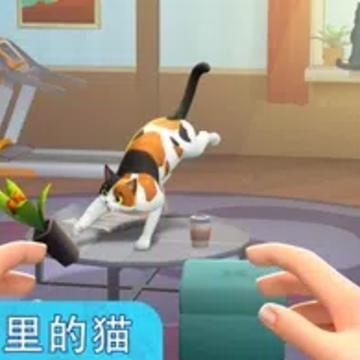 我的宠物猫模拟器(My Pets Cat Simulator) 我的宠物猫模拟器(My Pets Cat Simulator)