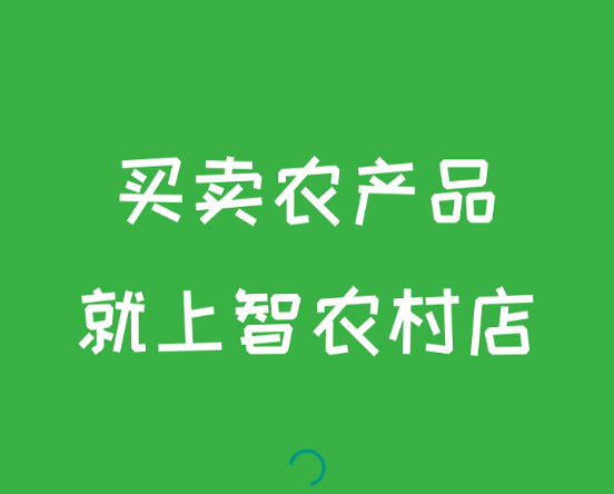 智农村店 智农村店