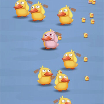 鸭场管家 鸭场管家