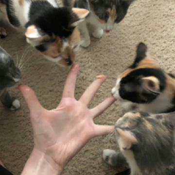 ����լ�Һ����ĵ�˵˵ �ڼҴ��ŵ���������˵˵