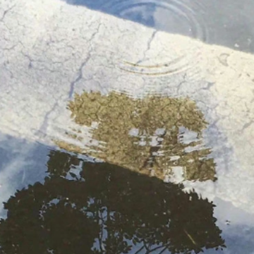 话里有话的朋友圈说说 话里有话的高级文案 话里有话的朋友圈说说 话里有话的高级文案