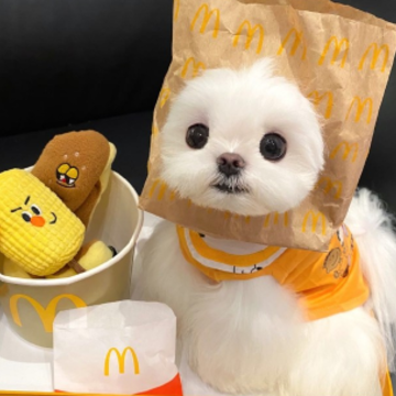 �ճ���Ƭ�ĵ͵��Ҹ�ǩ�� ʰ���Ҹ�����Ƭǩ��