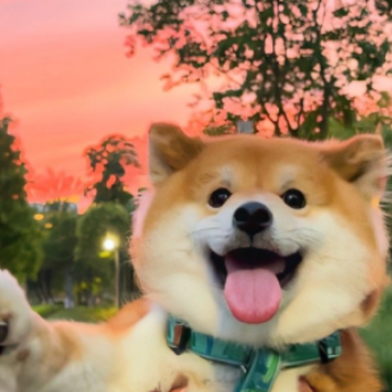 һ�����Ȥ�ɰ���Ц���� �����Ǵ������ĵ��ǳ�