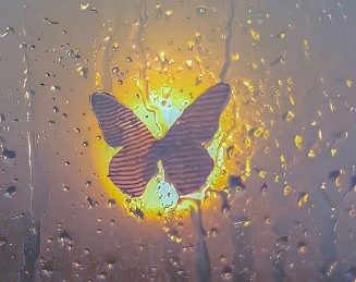 ��Ϧ���˽�û�����������˵˵ ����û������û�о�ϲ��˵˵