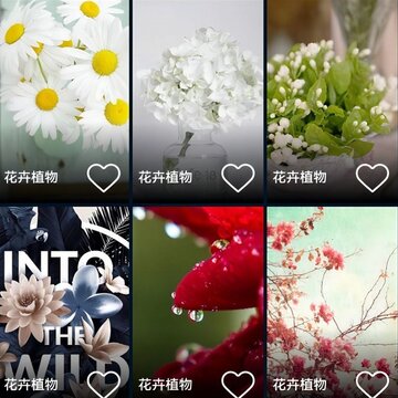 妙趣图 妙趣图