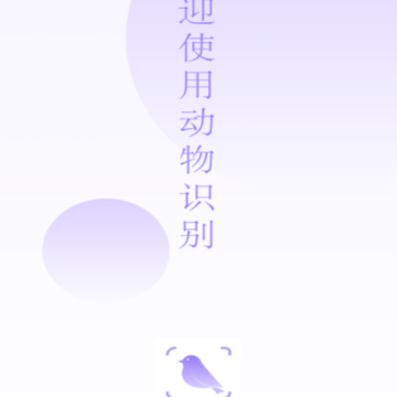 ����ʶ��