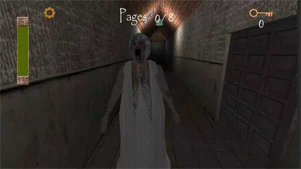 �������ɺӵĵ����ұӻ���(Slendrina Asylum)