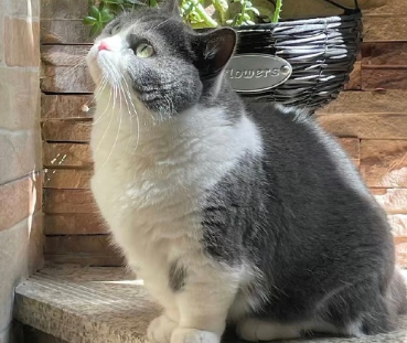 �ܰ�״̬�ܺõĶ̾����Լ��������� ÿ�챣�ֺ���̬������Ȧ�İ�
