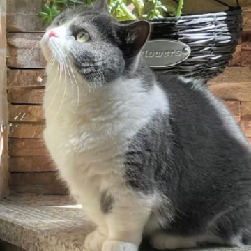 �ܰ�״̬�ܺõĶ̾����Լ��������� ÿ�챣�ֺ���̬������Ȧ�İ�