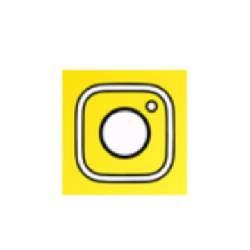 StyleArt Pro���