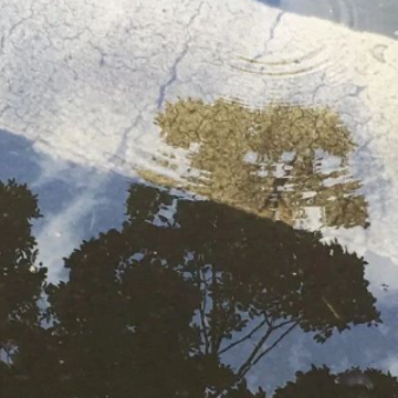 ��ʡ�Լ�̫�嶯��˵˵ һʱ�嶯��ڵ�˵˵