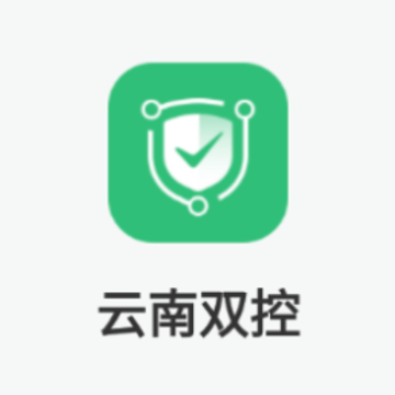 ����˫��app