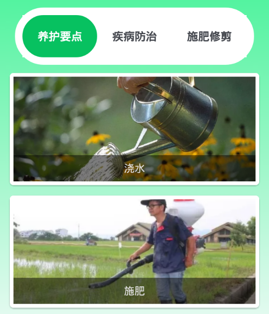 果园管家 果园管家