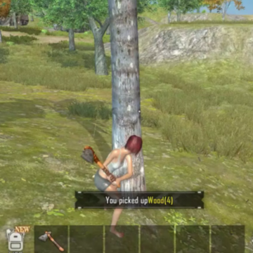 ���ŵ�����Ϸ