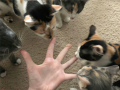 ����լ�Һ����ĵ�˵˵ �ڼҴ��ŵ���������˵˵