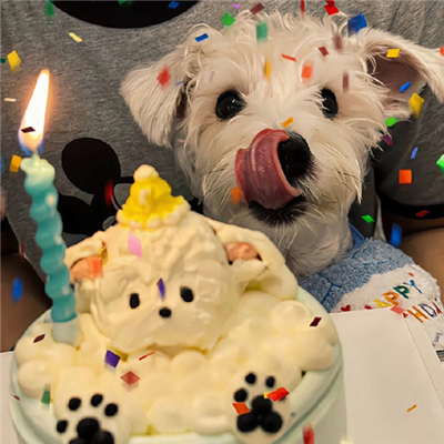 ��һ�۶���������ͼ���� �����Լ�����ͨ Ȼ��ȫ���Ը��ĳ���
