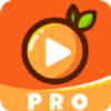 �ʳ�Ӱ��PROv1.0 ���Ӱ�