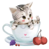 ������Ϸ��appv1.1.8 ��׿��