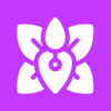 С����appv1.3 ���°�