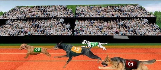 ������������ģ������Dog Racing Pet Race Simulator��v1.9 ��׿��