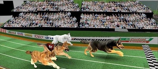 ������������ģ������Dog Racing Pet Race Simulator��v1.9 ��׿��