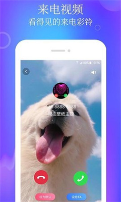 ������̬��ֽ��������v1.2.8 ��׿��