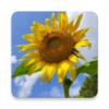 �˺���ѧϰappv2.074 ���°�