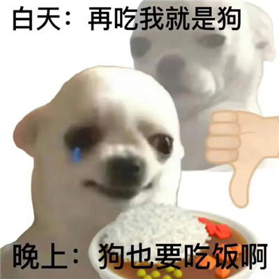 �ҵļ������ı��� ���ʾ������õı���