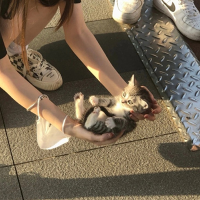 ������ins����ͼ�ܻ� Ҫ�������㿪�ĵ�����һ��