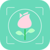 ʶ��������ʶ��appv1.3 ���°�